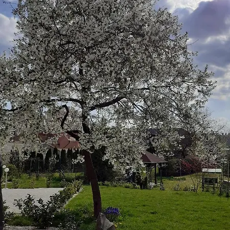 Premium Casa de hóspedes