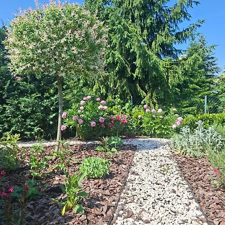 Premium Maison d'hôtes Eger